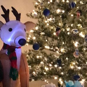 Meet your Posher, Marie